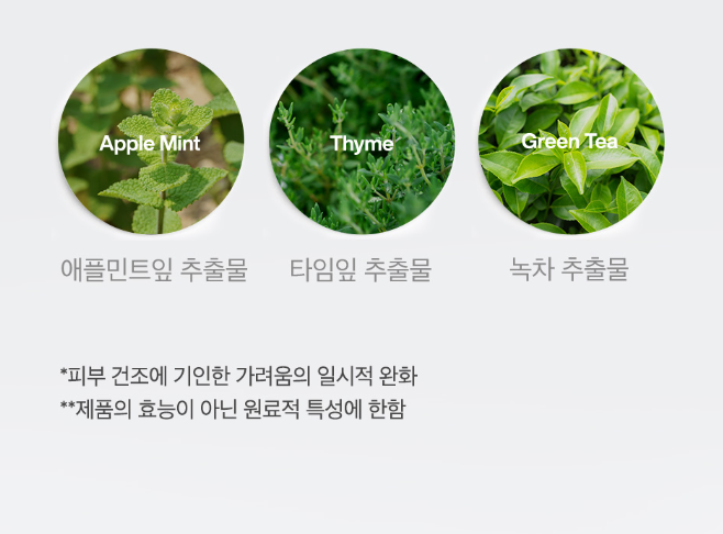 Thành phần Dr.FORHAIR Phyto Therapy Scalp Essence