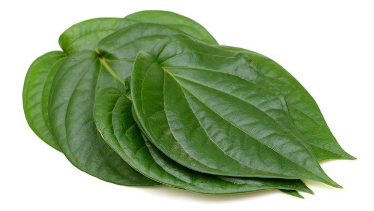 mụn da đầu