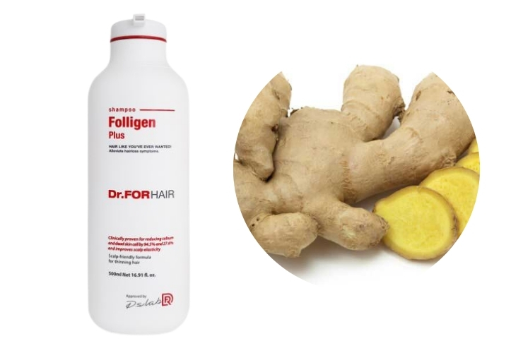 dau goi tinh chat gung